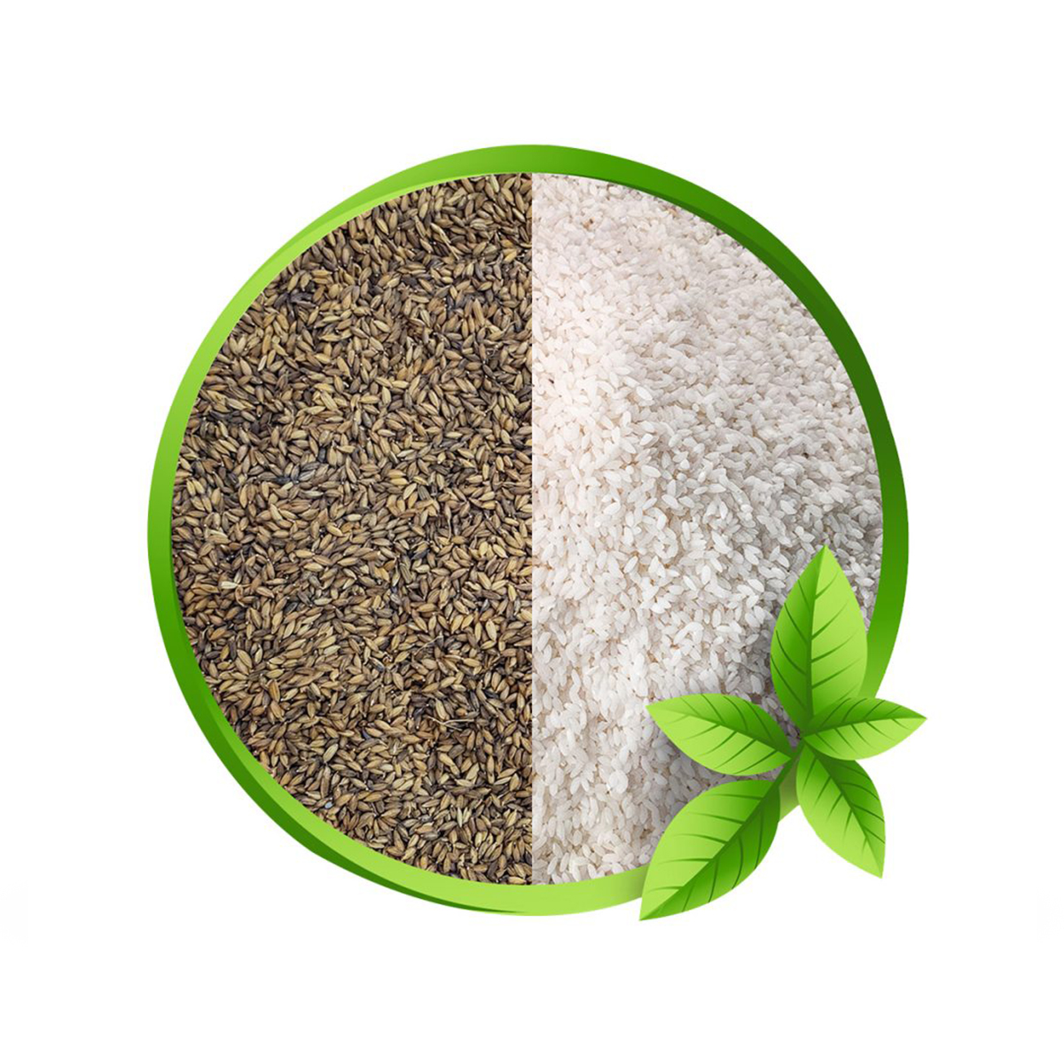 Tulshimala Aromatic Rice Ricepur 2